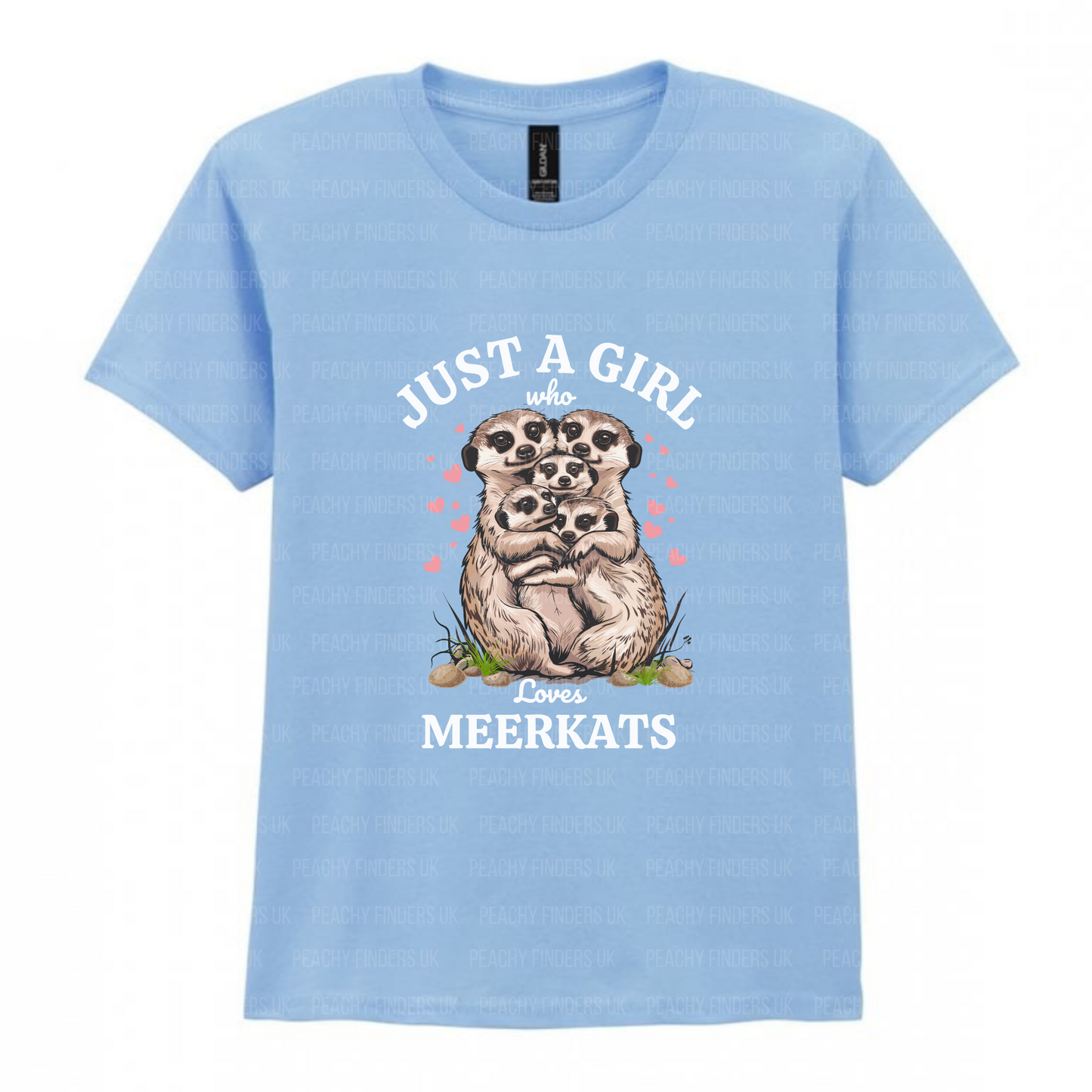 Kids light blue t-shirt with meerkat design and just a girl who loves meerkats text