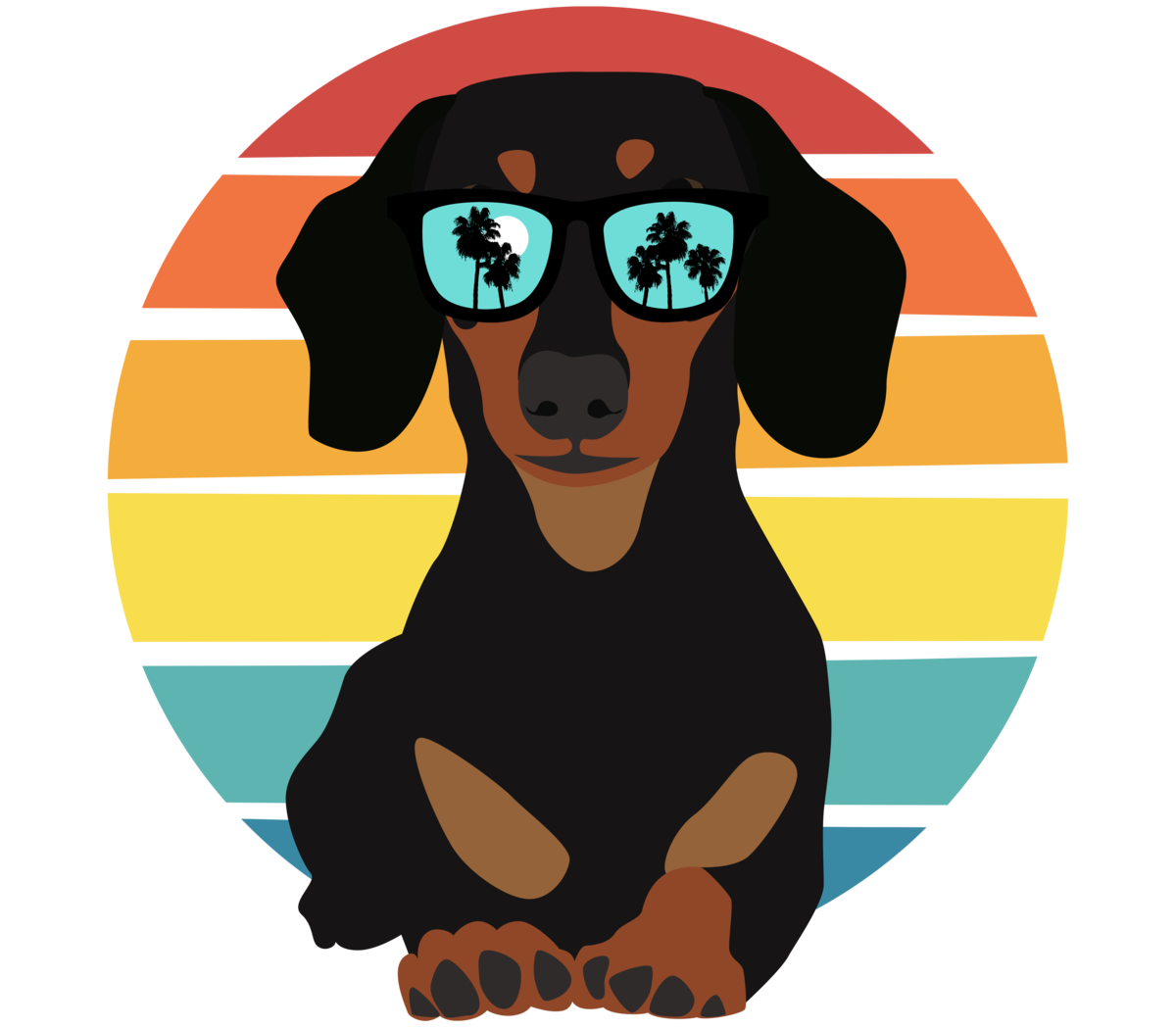 Summer Dachshund (1)