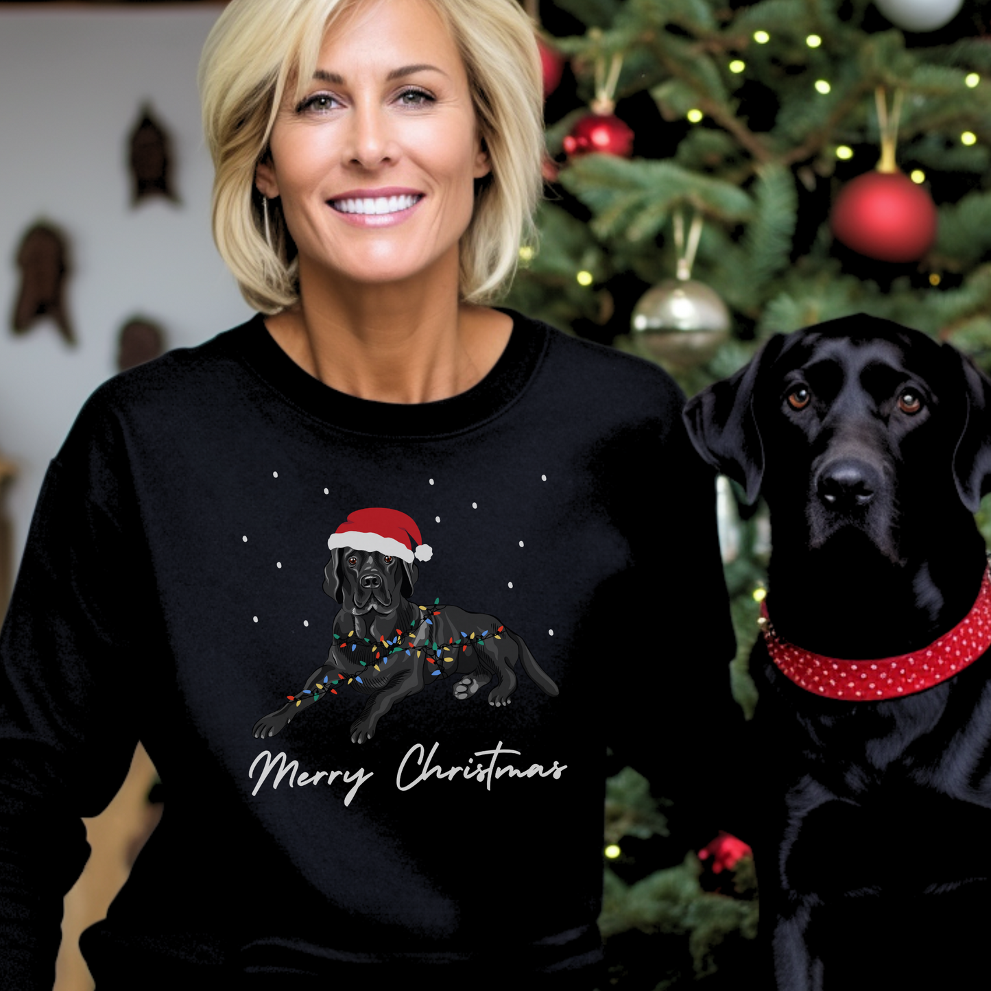 Festive Labrador  - Unisex Adults Organic Cotton Christmas Sweatshirt