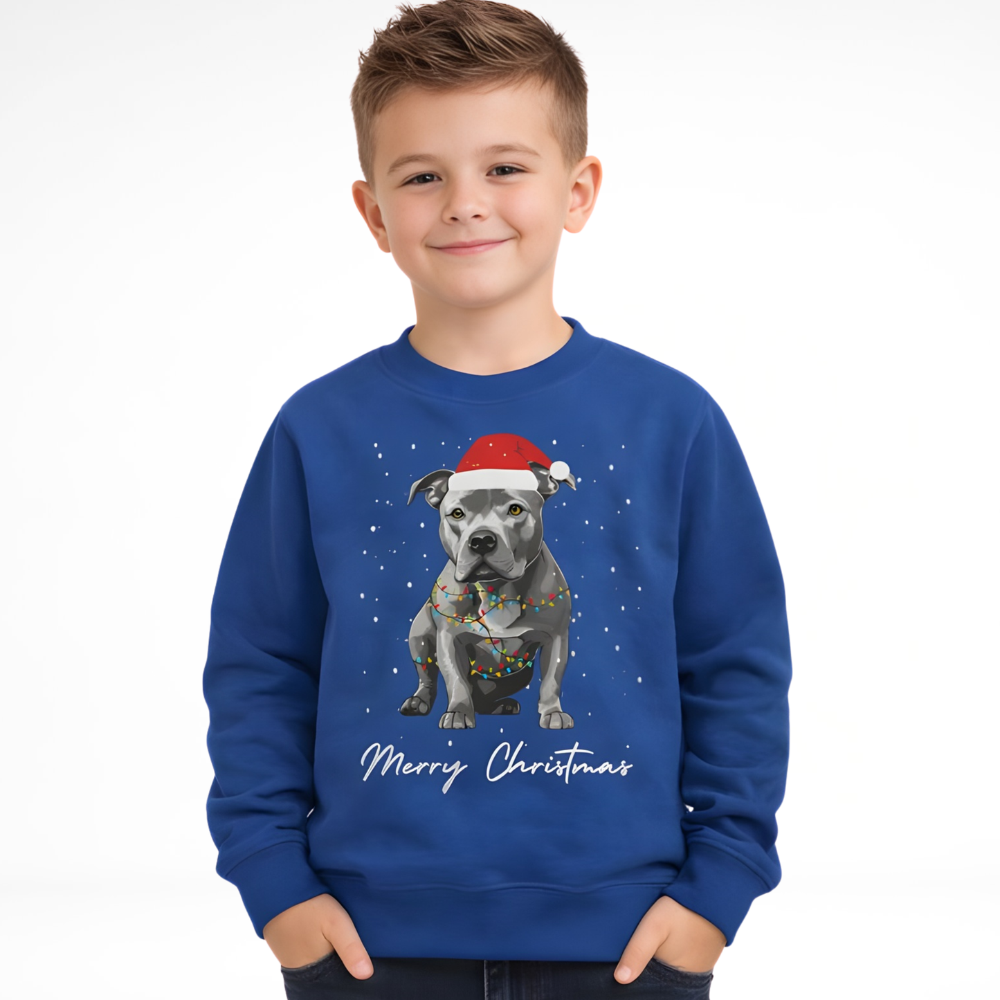 Young boy wearing a blue Christmas-themed sweatshirt with a dog illustration and 'Merry Christmas' text.