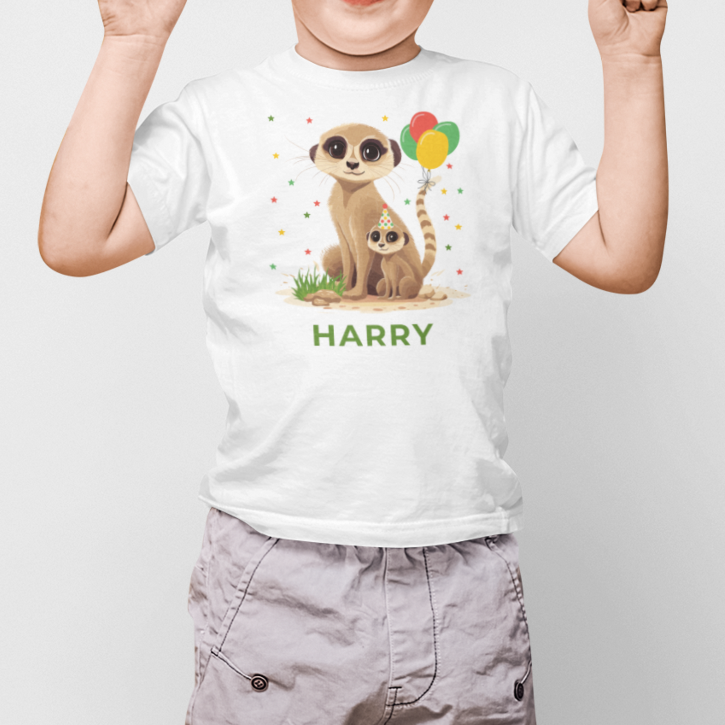 Kids Personalised Birthday Meerkat T-shirt | 3 - 13 years