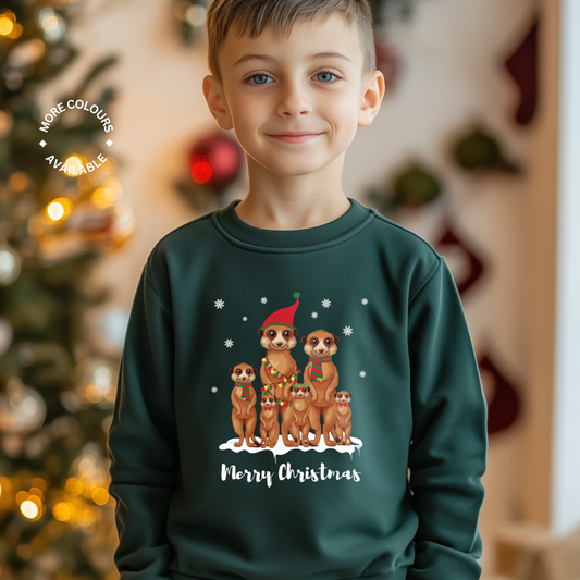 Boy wearing dark green Christmas sweatshirt featuring a cute meerkat family dressed in festive scarves and hats with "Merry Christmas" text below.