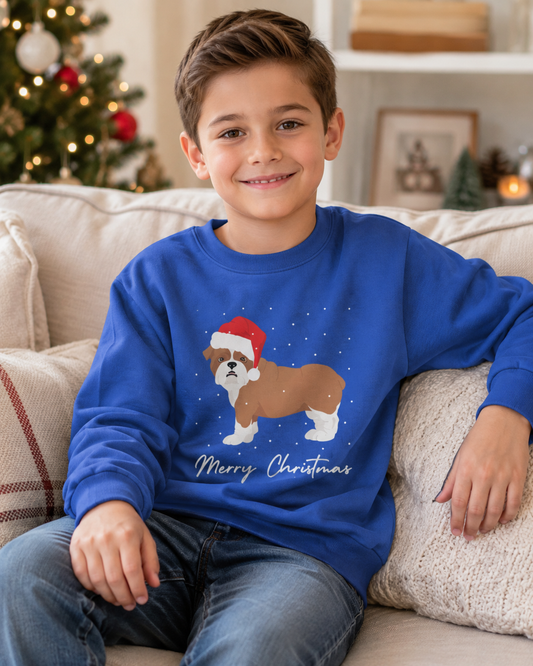 A smiling young boy sits on a beige couch wearing a royal blue crewneck sweatshirt with a Christmas graphic of a brown and white dog wearing a red Santa hat, with 'Merry Christmas' written below. The background shows a cozy living room with a decorated Christmas tree and shelves.
