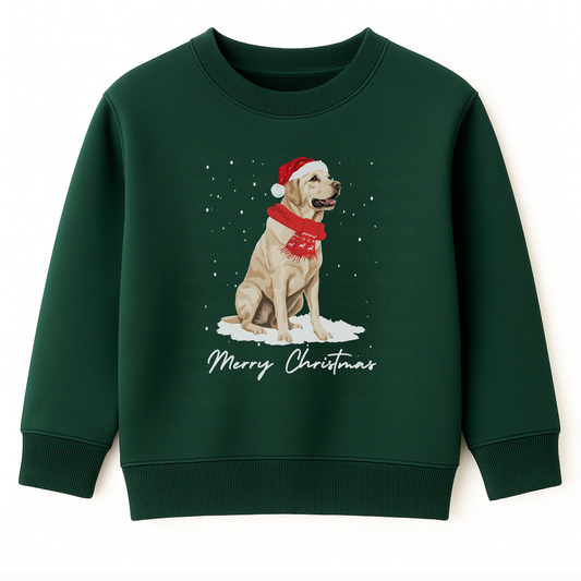 A kids dark green sweatshirt with a graphic of a golden Labrador wearing a Santa hat and a 'Merry Christmas' message.