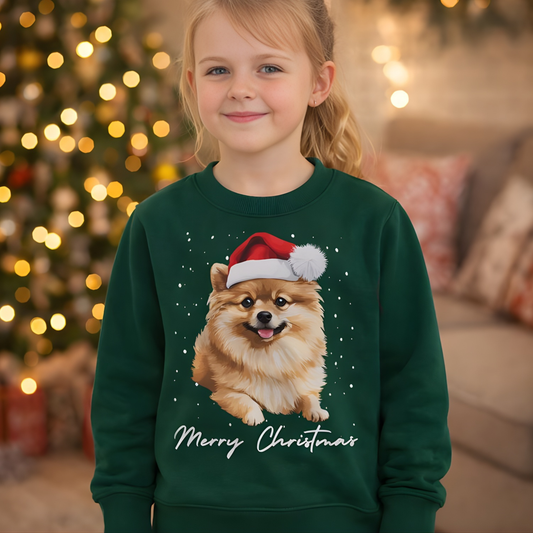 Girl wearing a dark green kids Christmas sweatshirt with pomeranian dog Santa design indoors