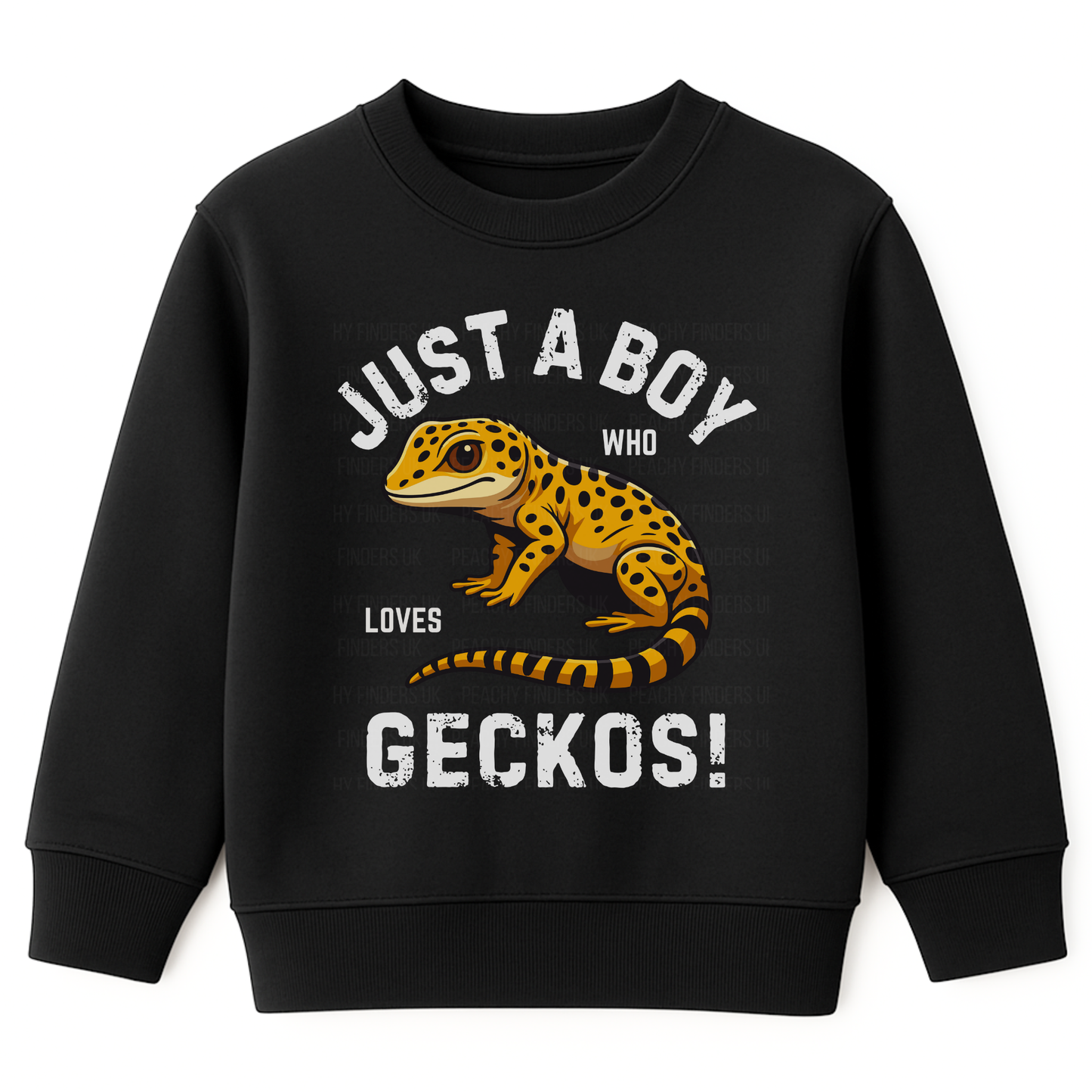 Kids black sweatshirt with a gecko graphic and "Just a boy who loves Geckos" text on a white background