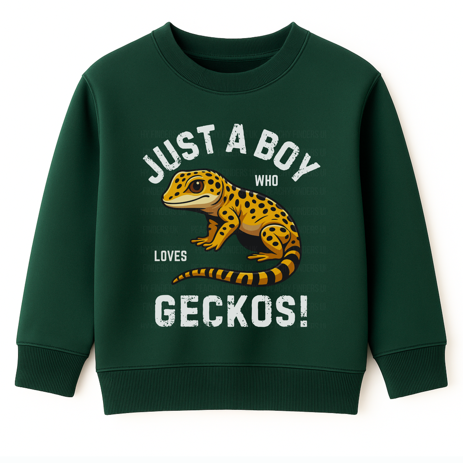 Kids dark green sweatshirt with a gecko graphic and "Just a boy who loves Geckos" text on a white background