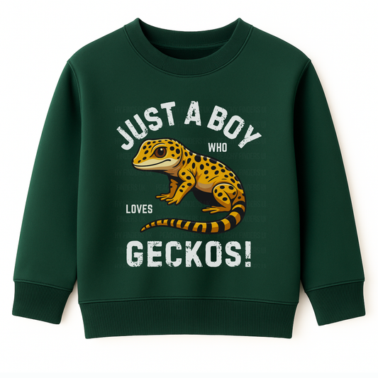 Kids dark green sweatshirt with a gecko graphic and "Just a boy who loves Geckos" text on a white background