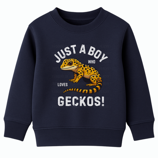 Kids navy blue sweatshirt with a gecko graphic and "Just a boy who loves Geckos" text on a white background