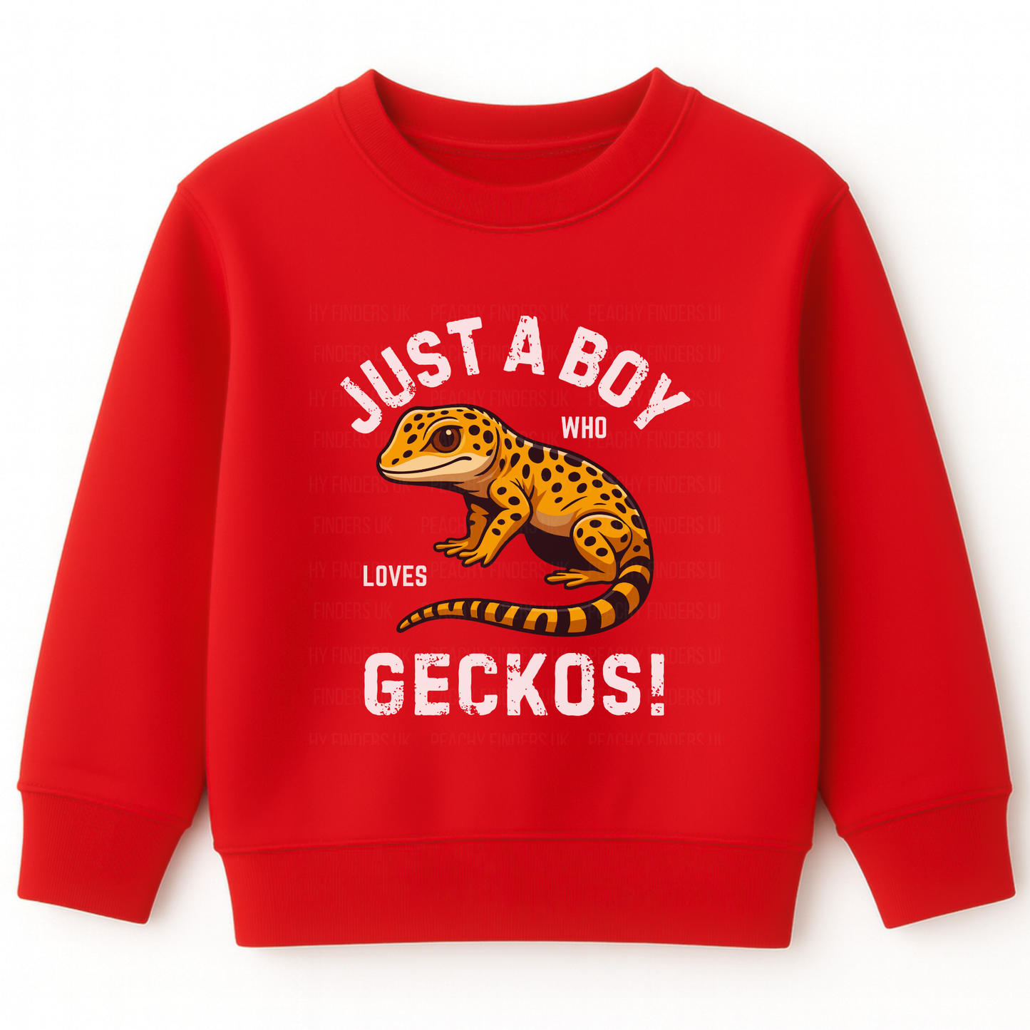 Kids red sweatshirt with a gecko graphic and "Just a boy who loves Geckos" text on a white background