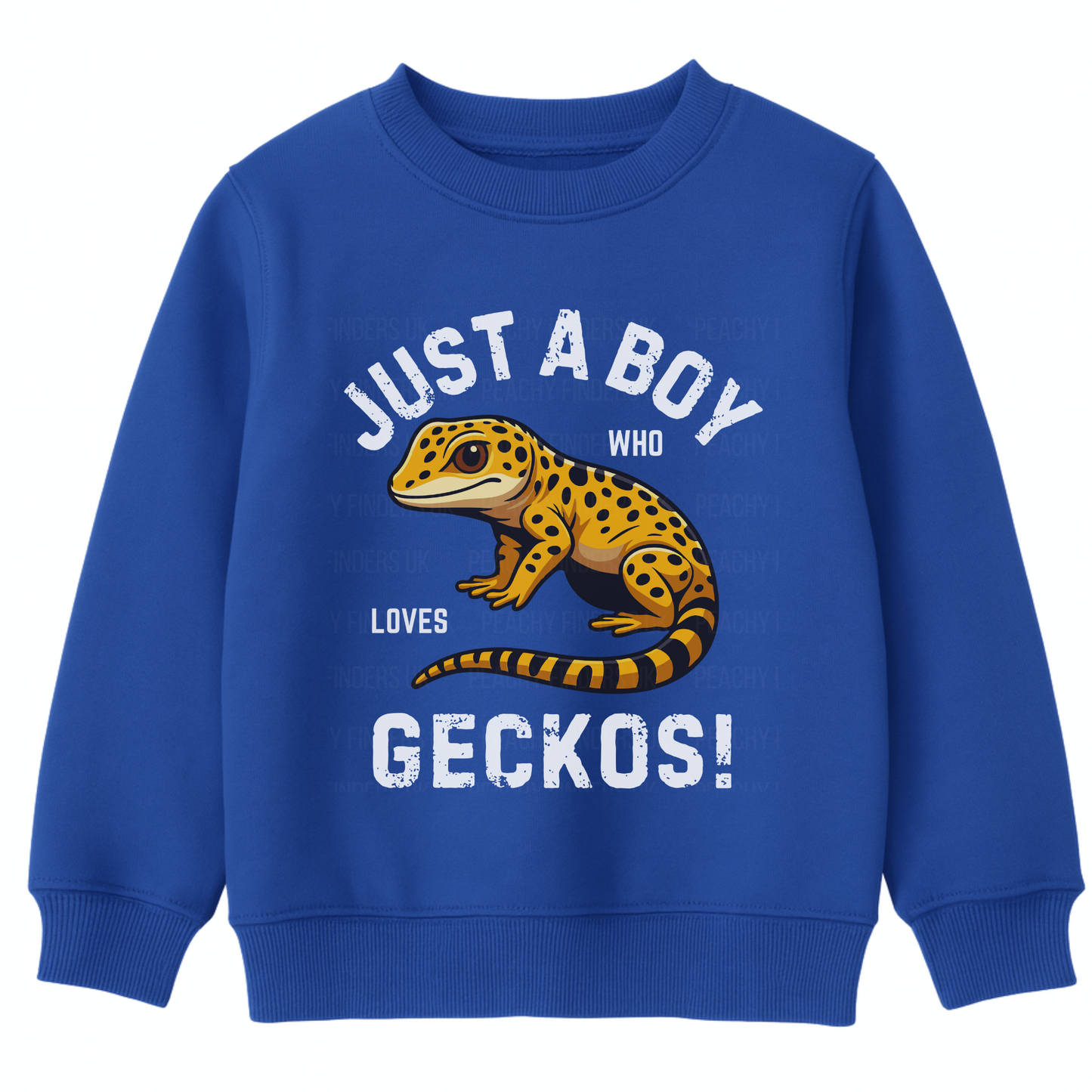 Kids royal blue sweatshirt with a gecko graphic and "Just a boy who loves Geckos" text on a white background