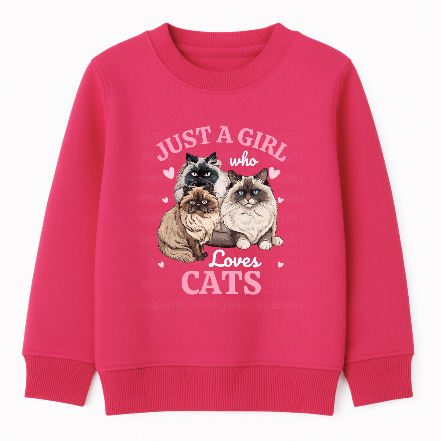 Kids pink sweatshirt printed with three fluffy Ragdoll and Persian cats, pink hearts and the text ‘Just a Girl Who Loves Cats’