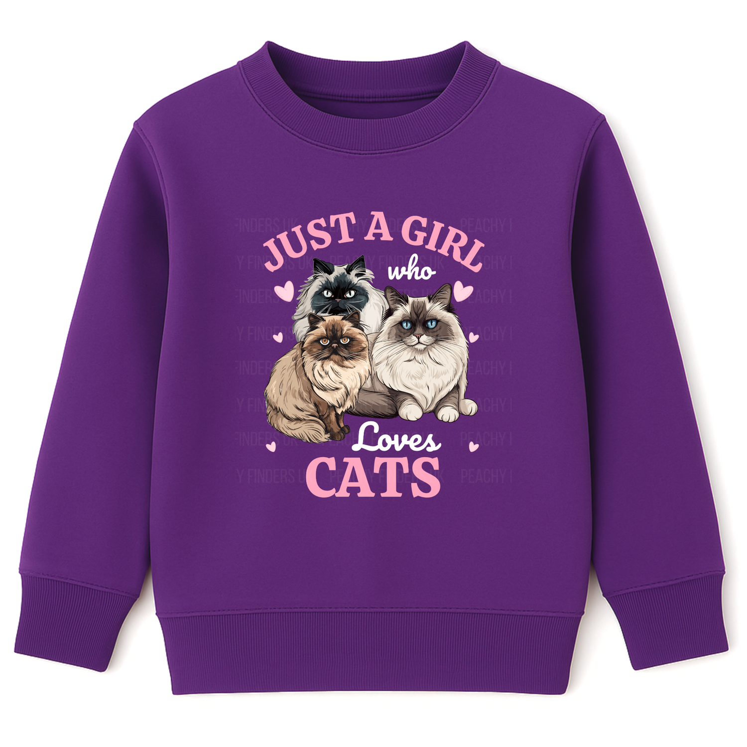 Kids purple sweatshirt printed with three fluffy Ragdoll and Persian cats, pink hearts and the text ‘Just a Girl Who Loves Cats’