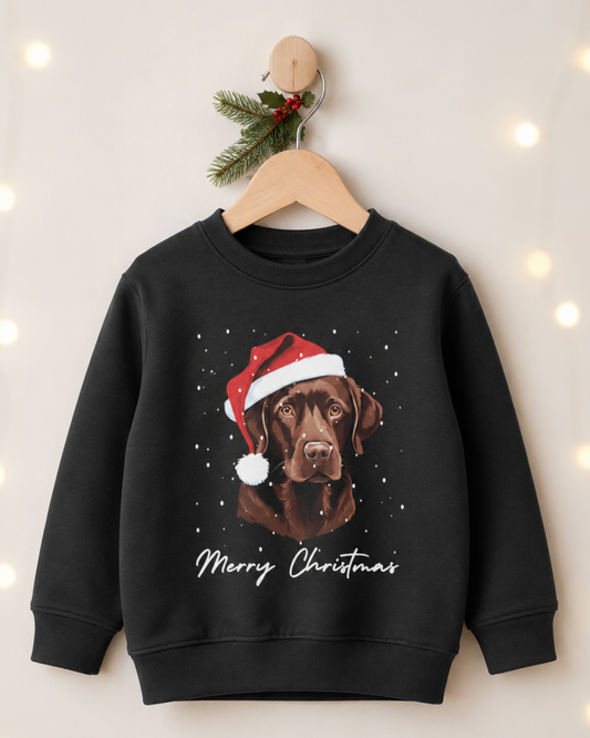 A black crewneck sweatshirt hanging on a wooden hanger decorated with a pine sprig and fairy lights. The sweatshirt features a graphic of a brown Labrador wearing a red Santa hat, with 'Merry Christmas' written in white script below.