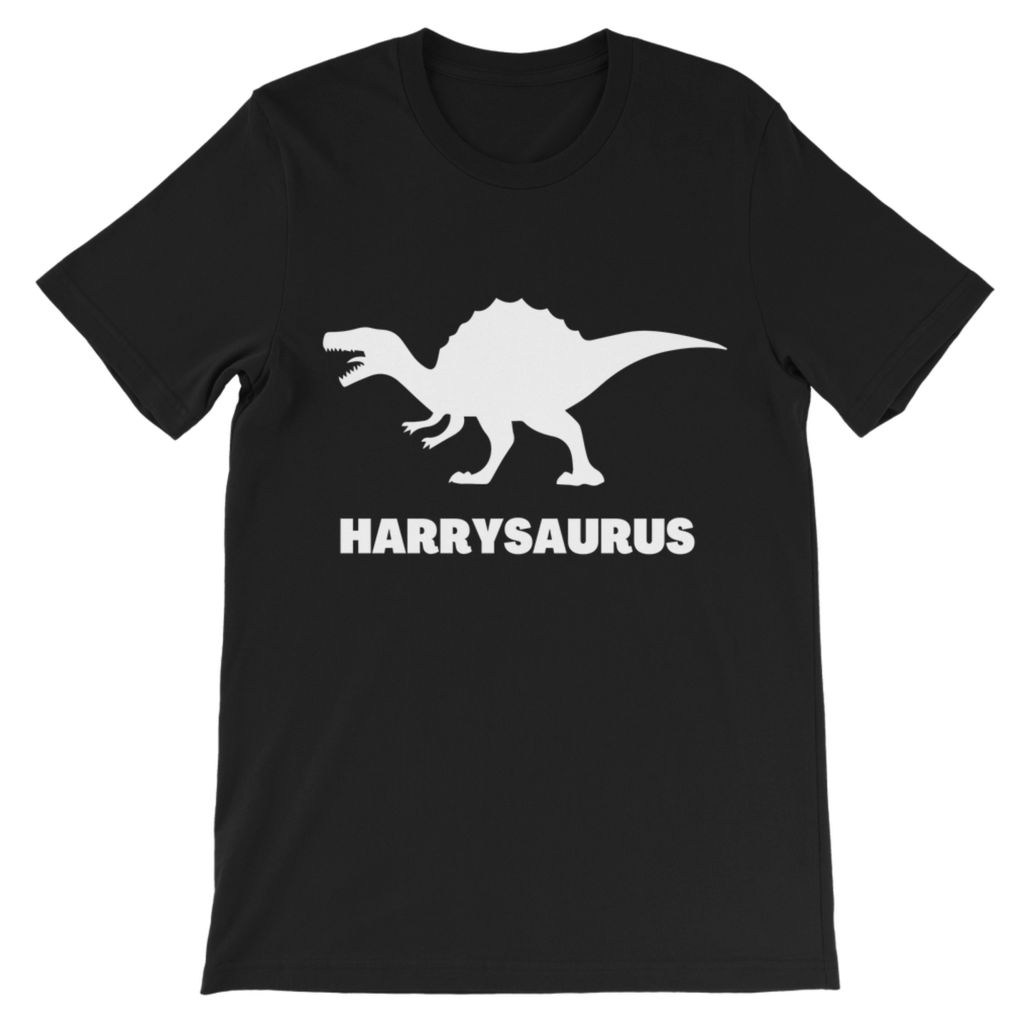 Kids black t-shirt featuring a white dinosaur silhouette with white HARRYSAURUS print on the front. Matching set with Daddysaurus.
