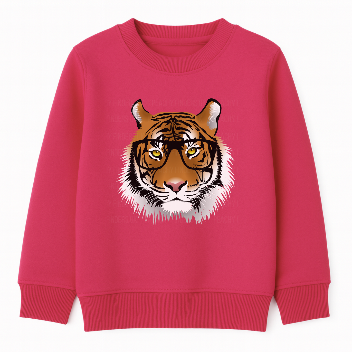 Kids Intelligent Tiger Sweatshirt  (3-13 Yrs)