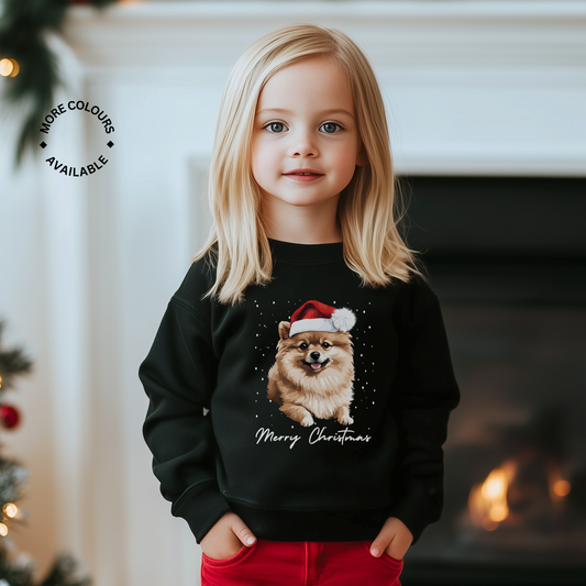 Child wearing a black Christmas-themed sweatshirt with a Pomeranian illustration and 'Merry Christmas' text, standing in front of a fireplace.