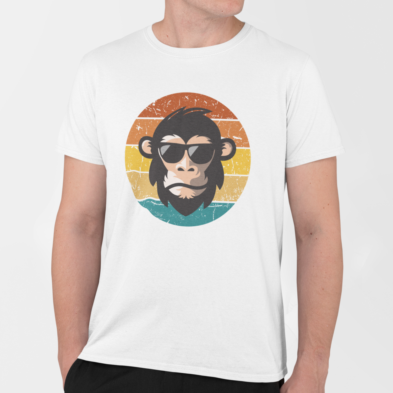 Male model wearing a white retro chimp graphic t-shirt with sunglasses and sunset design