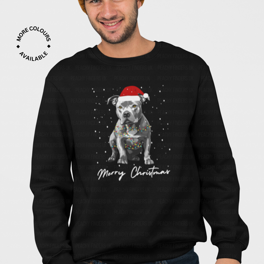 A man wearing black Christmas sweater with a Staffordshire Bull Terrier wearing a Santa hat, wrapped in fairy lights and 'Merry Christmas' text.