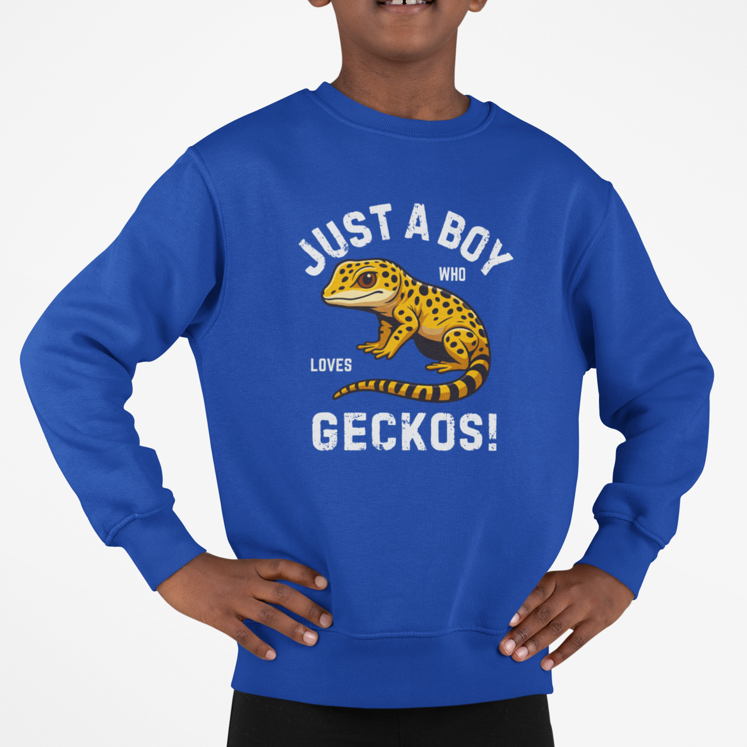 Boy models a royal blue sweatshirt with a leopard gecko graphic and "Just a boy who loves Geckos" text on a white background